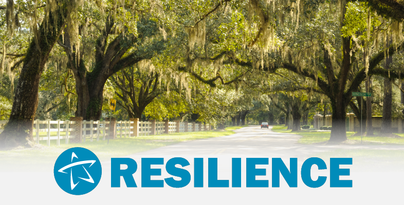 Resilience Slide Image