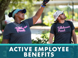 Active Employee Benefits Link
